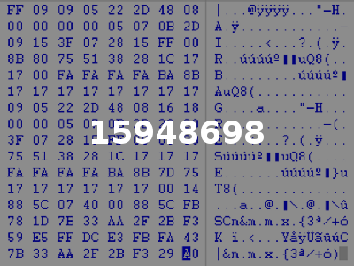 15948698
