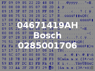 04671419AH Bosch 0285001706