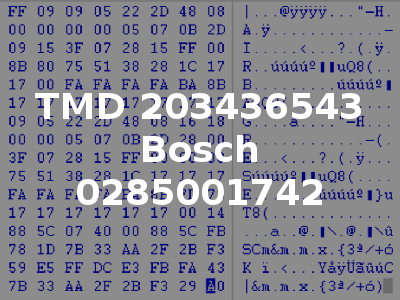 TMD 203436543 Bosch 0285001742