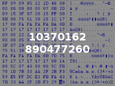 10370162 890477260