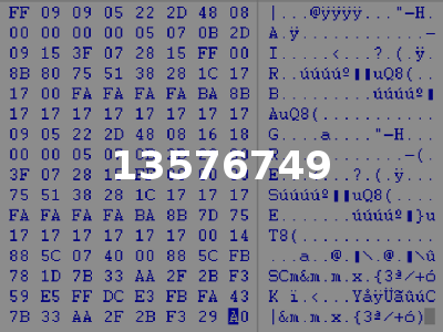 13576749