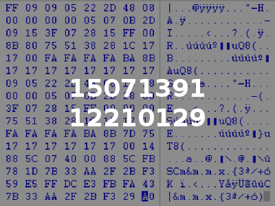 15071391 12210129