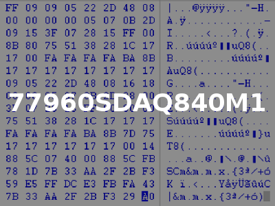 77960SDAQ840M1