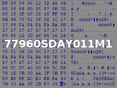 77960SDAY011M1