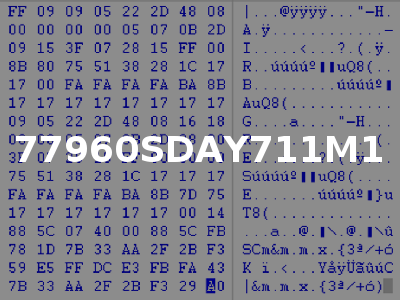 77960SDAY711M1
