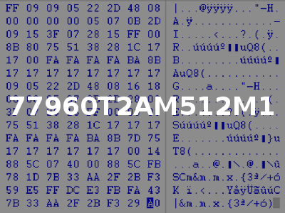 77960T2AM512M1