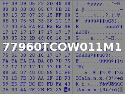 77960TCOW011M1