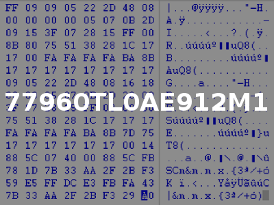 77960TL0AE912M1