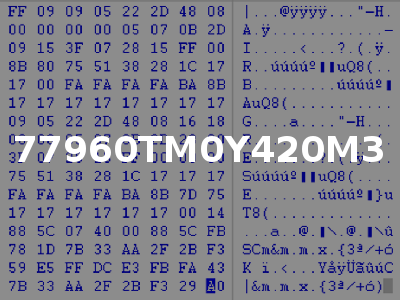 77960TM0Y420M3