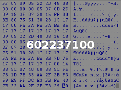 602237100