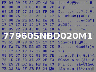 77960SNBD020M1