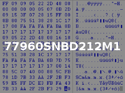 77960SNBD212M1