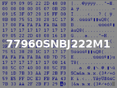 77960SNBJ222M1