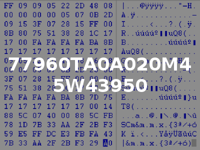 77960TA0A020M4 5W43950