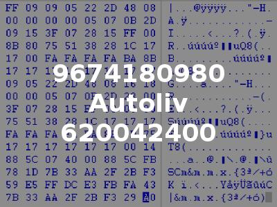 9674180980 Autoliv 620042400