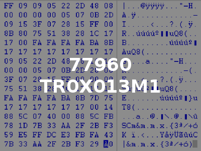 77960 TR0X013M1