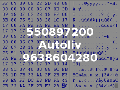 550897200 Autoliv 9638604280
