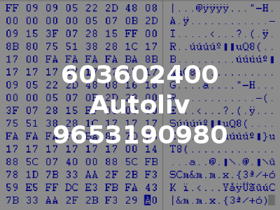 603602400 Autoliv 9653190980