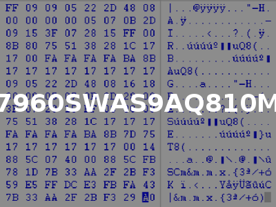 77960SWAS9AQ810M1