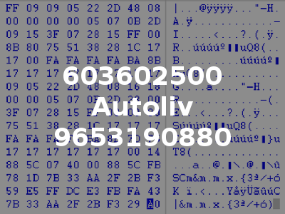 603602500 Autoliv 9653190880