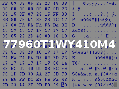 77960T1WY410M4