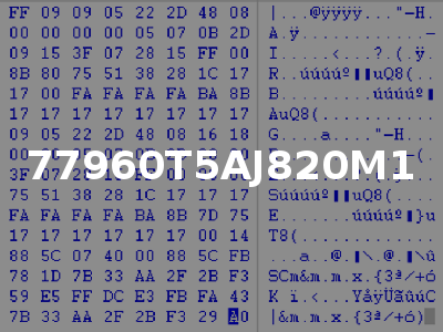 77960T5AJ820M1