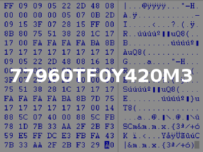 77960TF0Y420M3