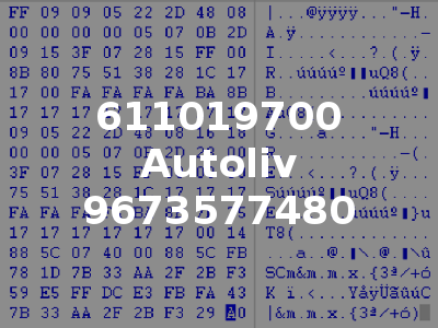 611019700 Autoliv 9673577480