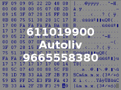 611019900 Autoliv 9665558380