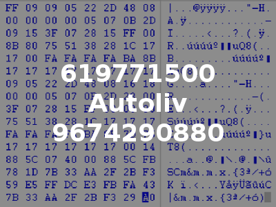 619771500 Autoliv 9674290880