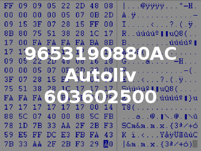 9653190880AC Autoliv 603602500