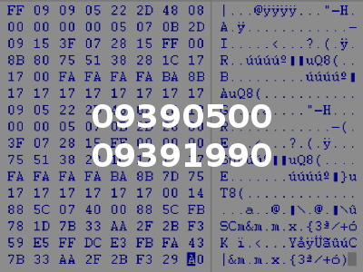 09390500 09391990