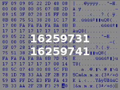 16259731 16259741