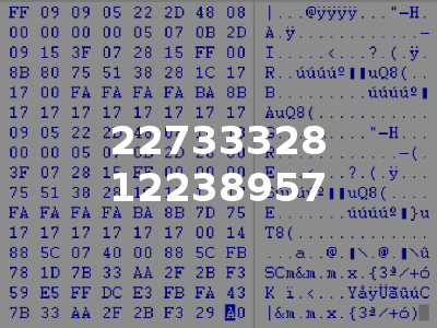 22733328 12238957
