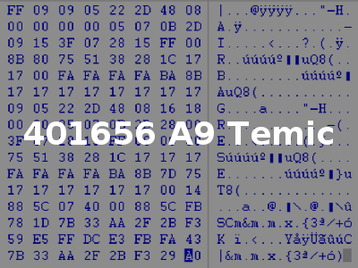 401656 A9 Temic