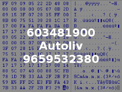 603481900 Autoliv 9659532380