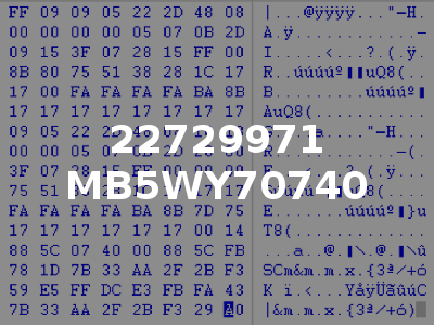 22729971 MB5WY70740