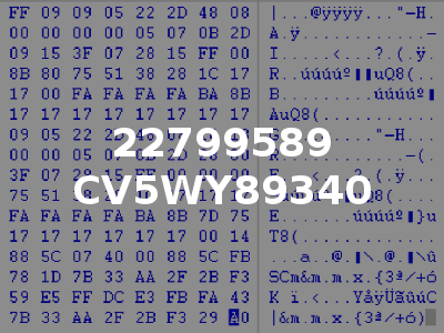 22799589 CV5WY89340