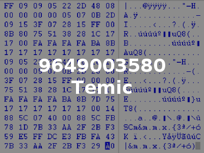 9649003580 Temic