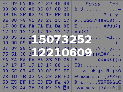 15073252 12210609