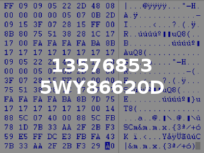 13576853 5WY86620D