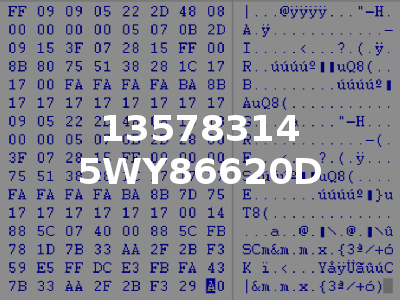 13578314 5WY86620D