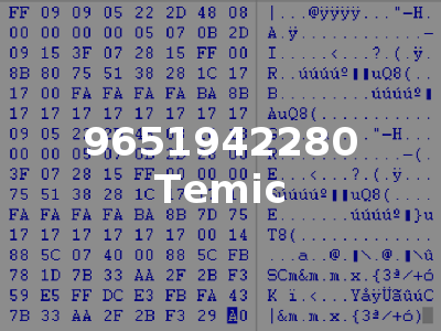 9651942280 Temic