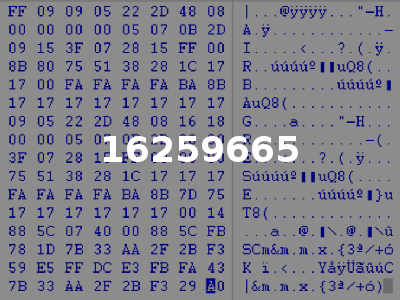 16259665