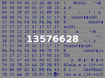 13576628