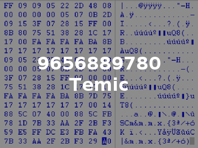 9656889780 Temic