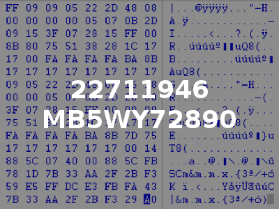 22711946 MB5WY72890