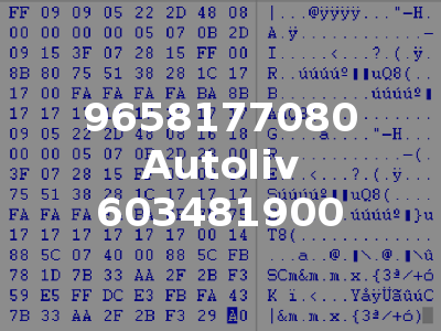 9658177080 Autoliv 603481900