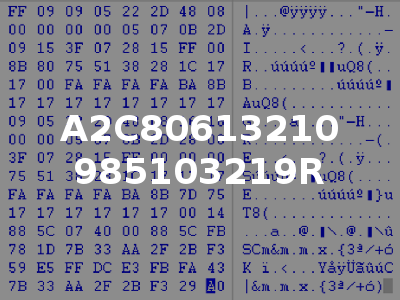 A2C80613210 985103219R