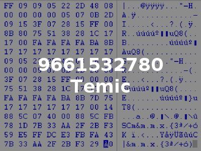 9661532780 Temic